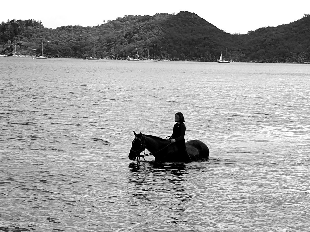 Horseshoe Bay Ranch-Horseshoe Bay必去景点