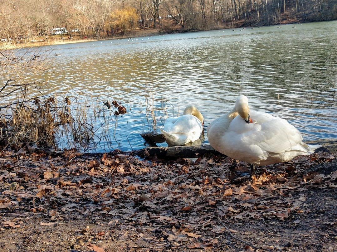 Alley Pond Park-Oakland Gardens必去景点