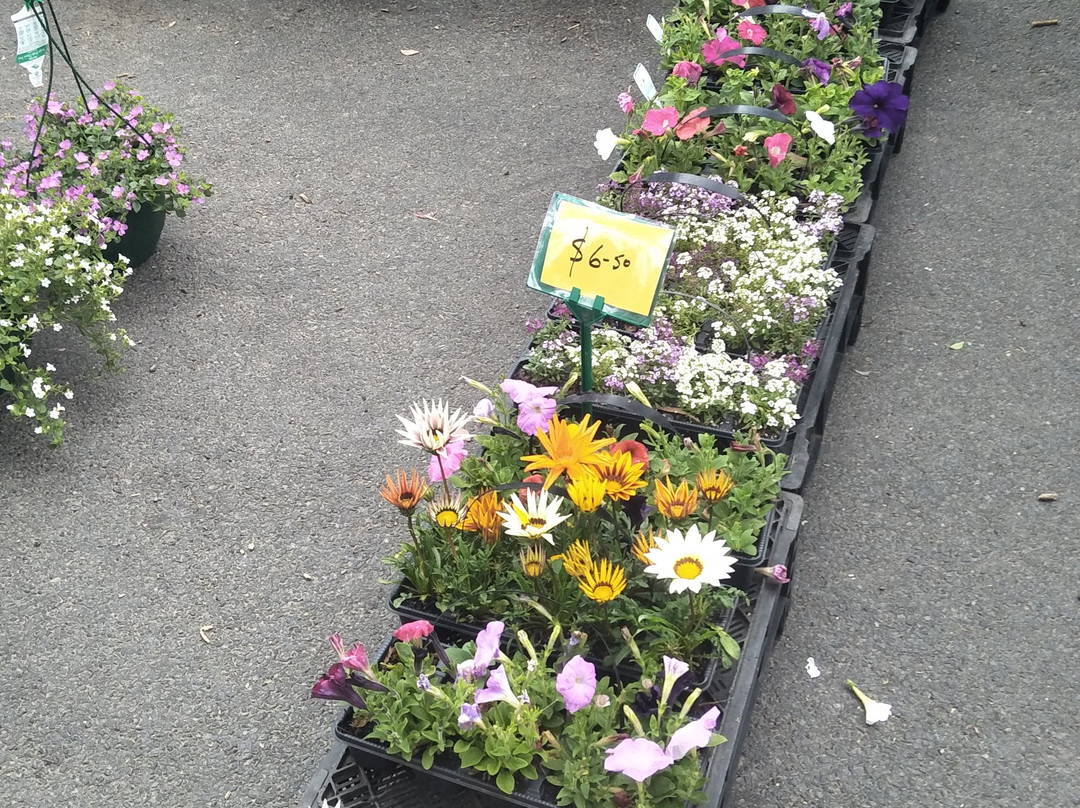 Loch Village-Loch必去景点