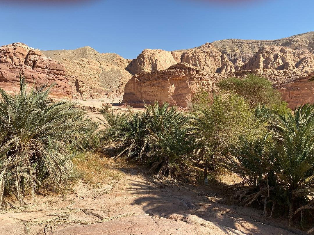 Ain Khudra-努威巴必去景点