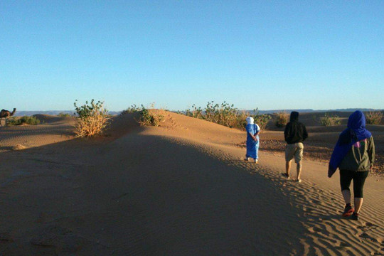 M'hamid Tours-迈哈米德必去景点