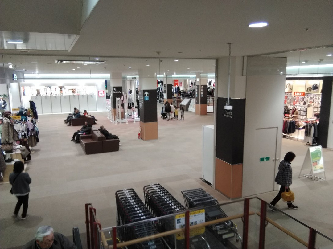 Peony Walk Higashimatsuyama-东松山市必去景点