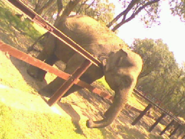 Animal Park - Kissir El Aouana景点图片