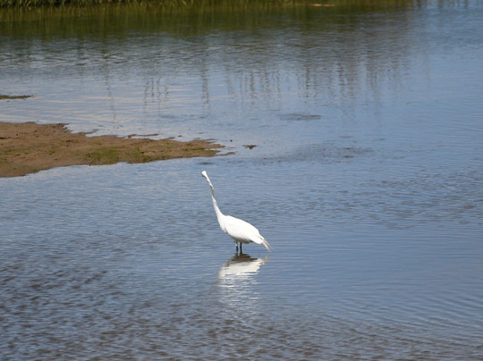 Raritan Bay Waterfront Park-South Amboy必去景点