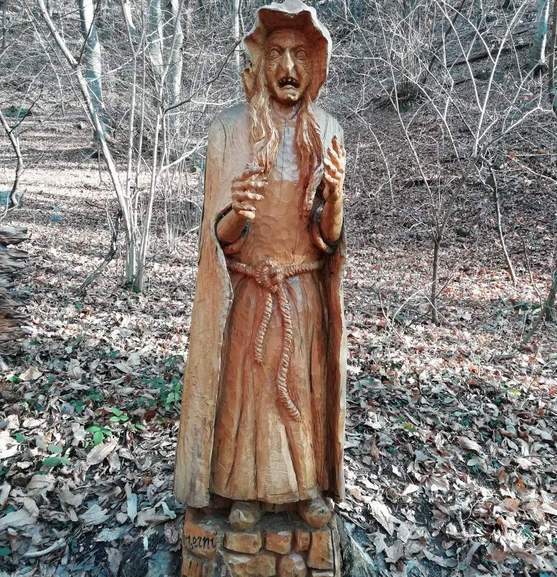 Sculture in Legno景点图片