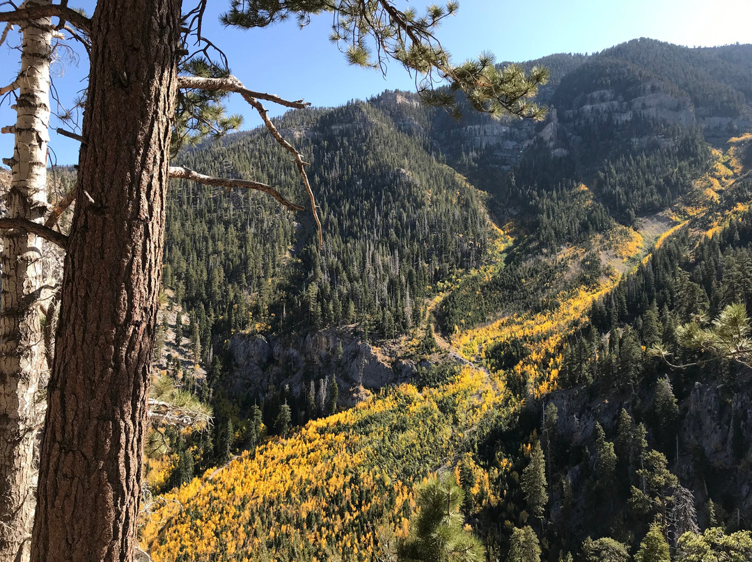 教堂石道-拉斯维加斯必去景点