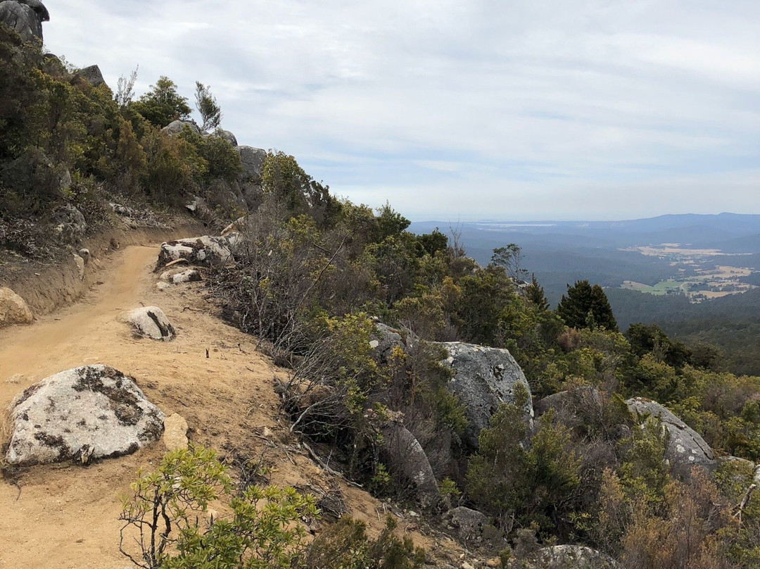 Blue Derby Mountain Bike Trails景点图片