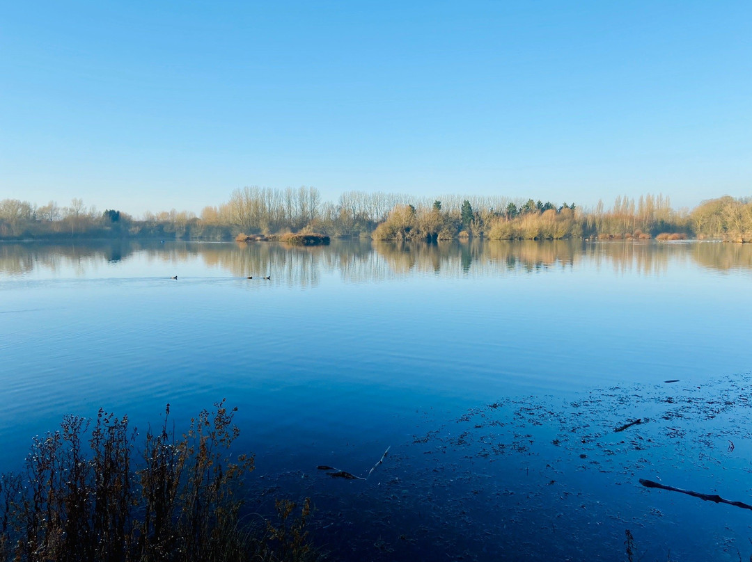 Radley Lakes / Thrupp Lake Trail景点图片