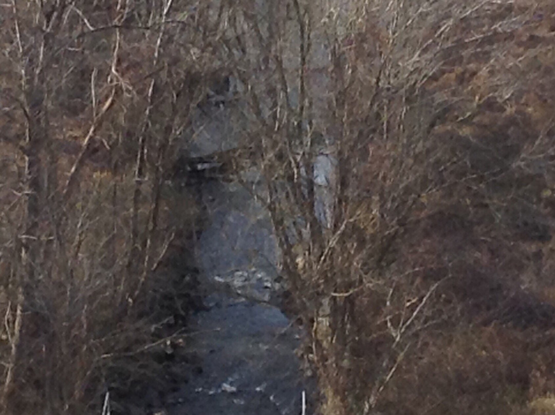 Lake Bernard Frank-罗克维尔必去景点