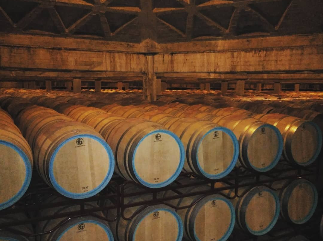Bodegas Olarra-洛格罗尼奥必去景点