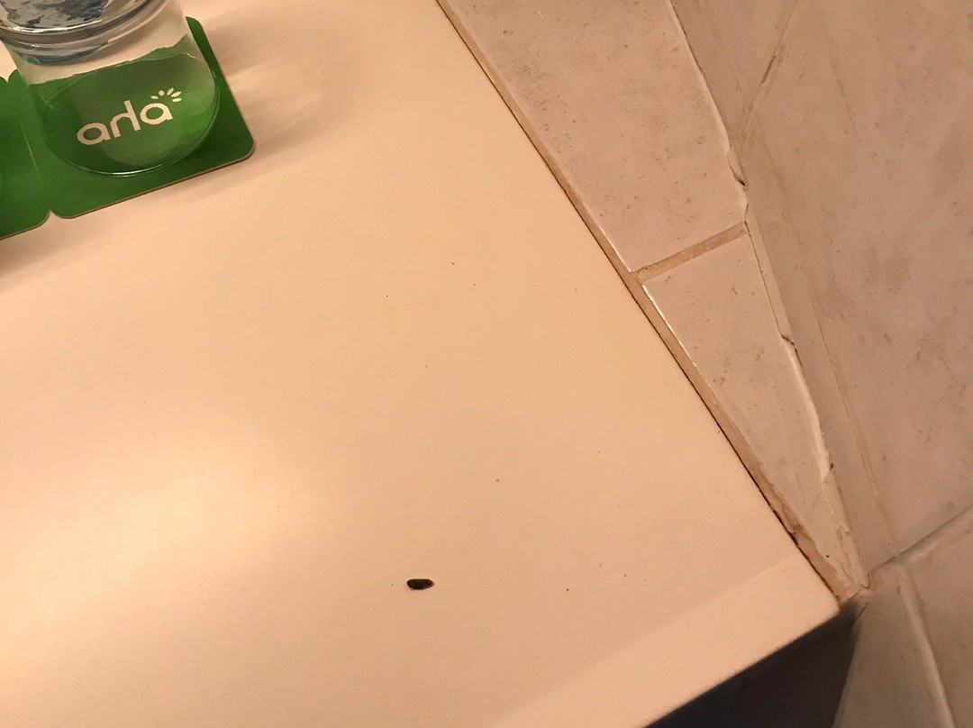 Shakaland-夸祖鲁-纳托尔省必去景点