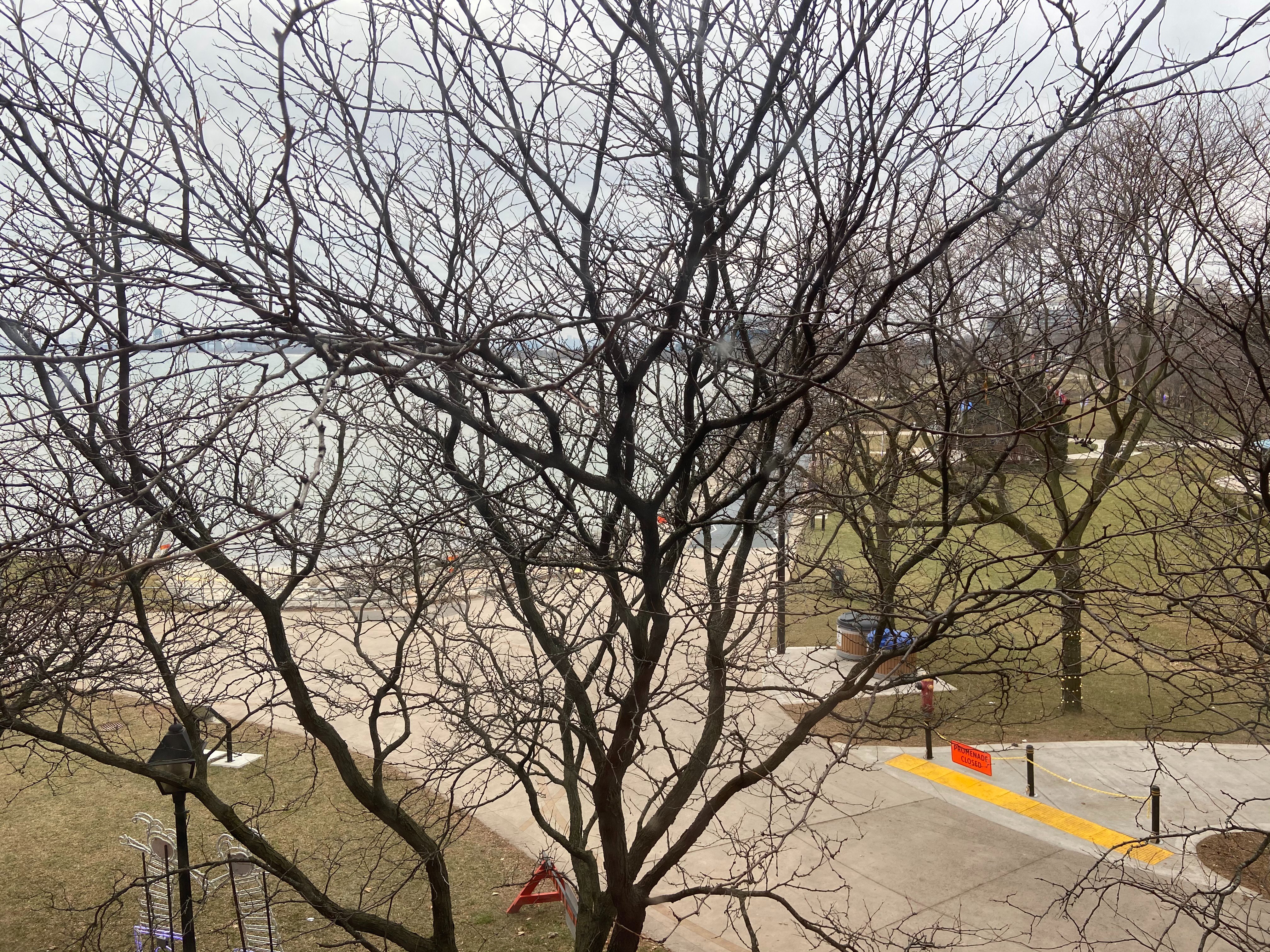 Waterfront Hotel Downtown Burlington-酒店景观