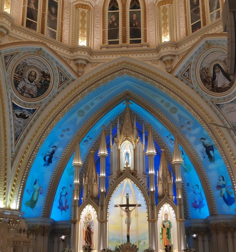 Our Lady of Lourdes Metropolitan Cathedral景点图片