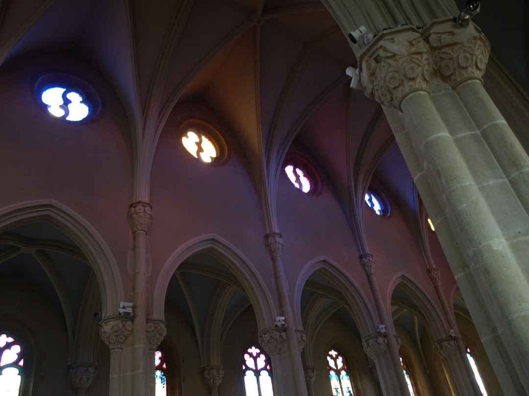 Eglise Saint Vincent des Pierres Dorees景点图片