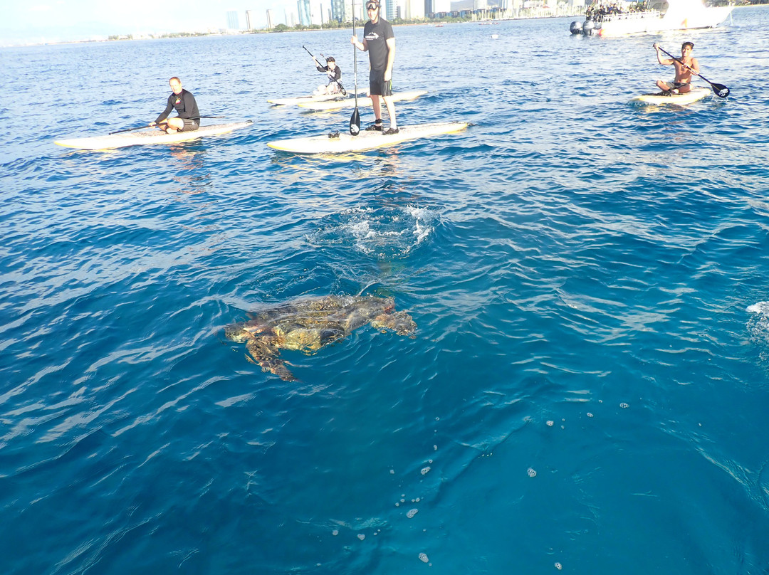 Duke’s Lagoon-火奴鲁鲁必去景点