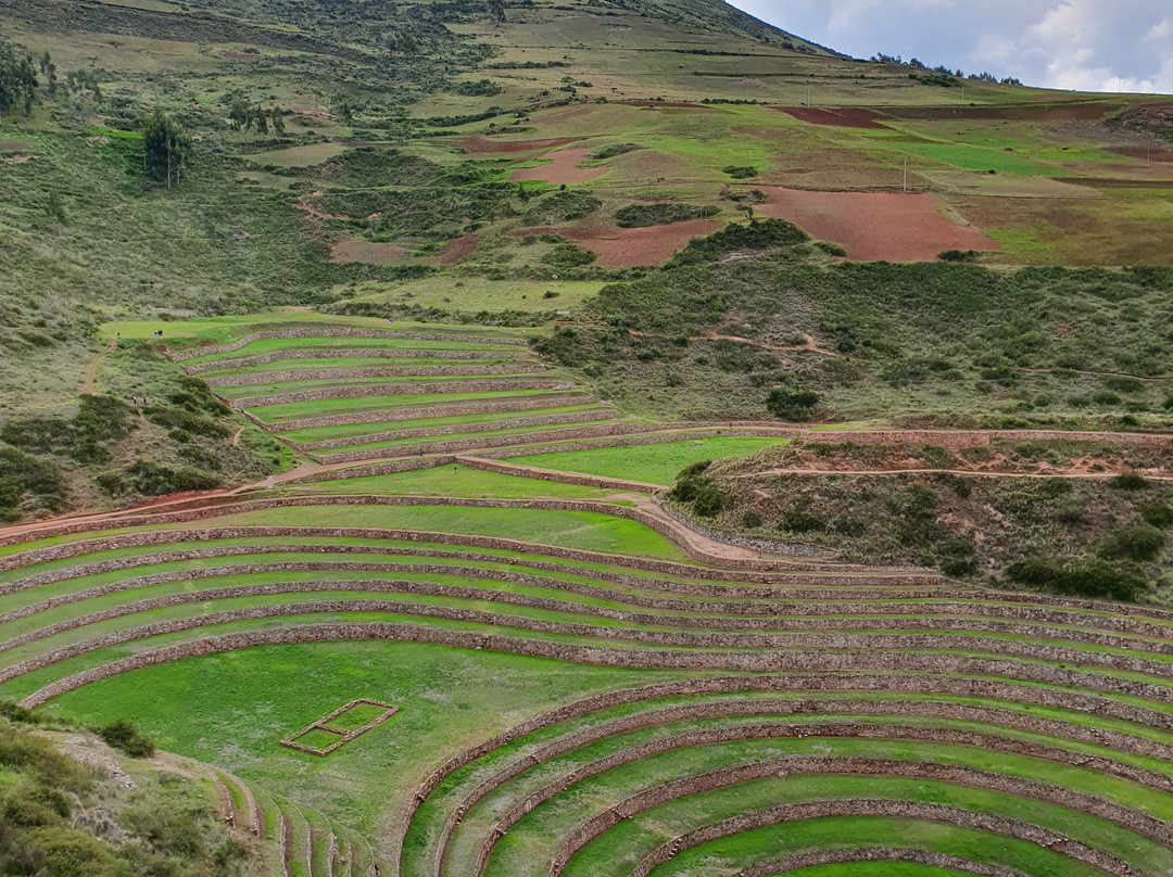 Cusco Local Friend景点图片