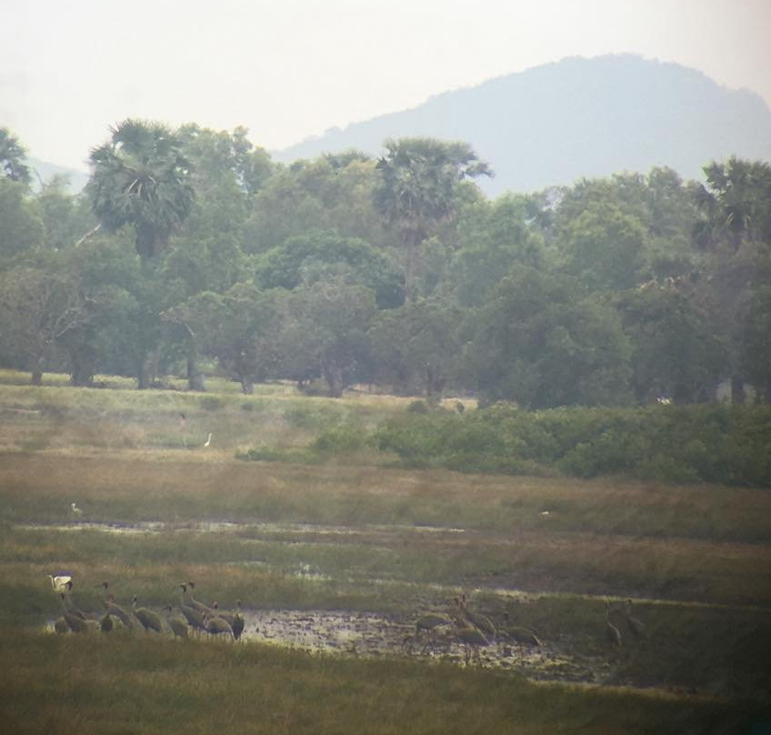 Anlung Pring Community led Ecotourism-贡布必去景点