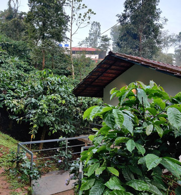 CG-Ala The Coffee Grove主图