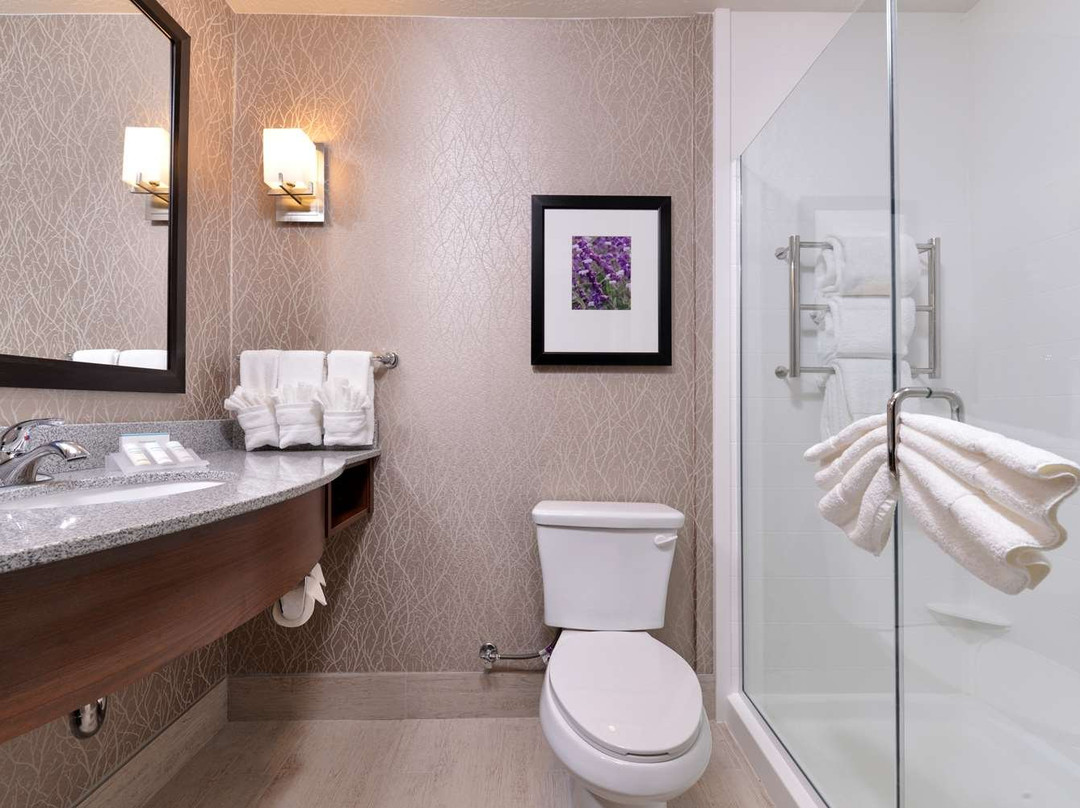 Hilton Garden Inn Hobbs主图