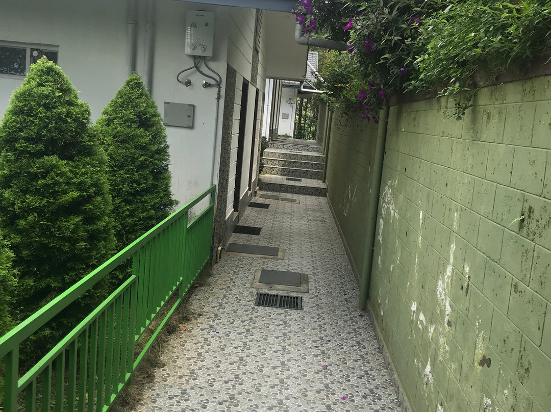 Bison Valley旅游攻略图片