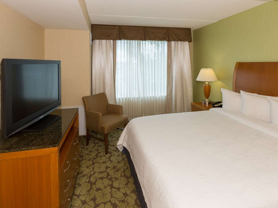 水牛城机场希尔顿花园酒店主图