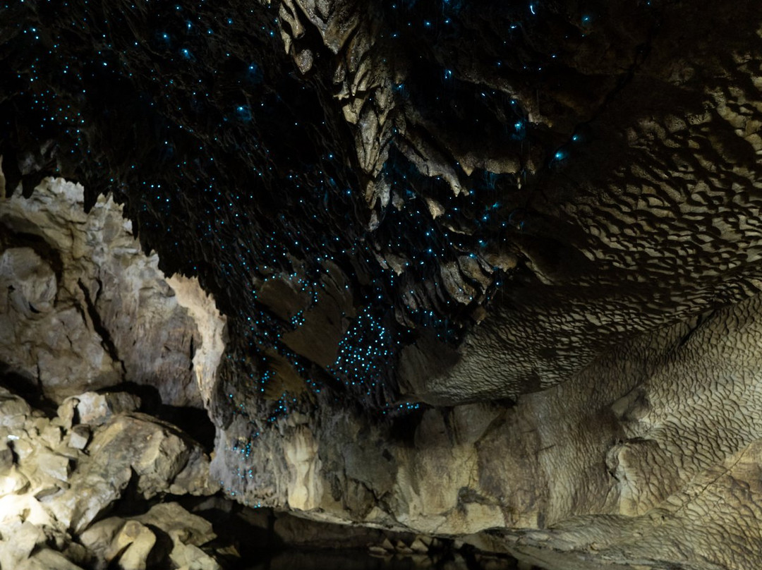 Waipu Caves Track景点图片