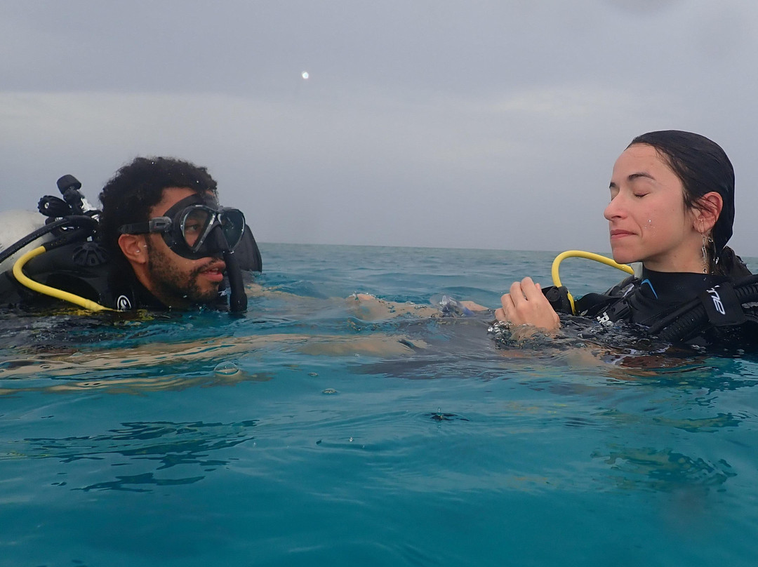 Sea Star Diving Center-马累必去景点