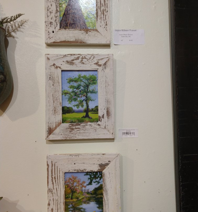 Seven Sisters Gallery景点图片