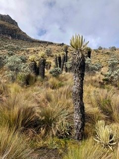 Nevado Santa Isabel-佩雷拉必去景点
