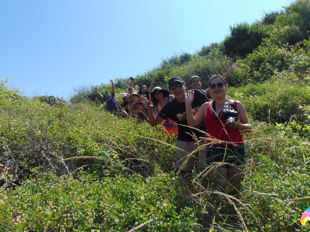 Nebalba Experiences-瓦拉塔港必去景点