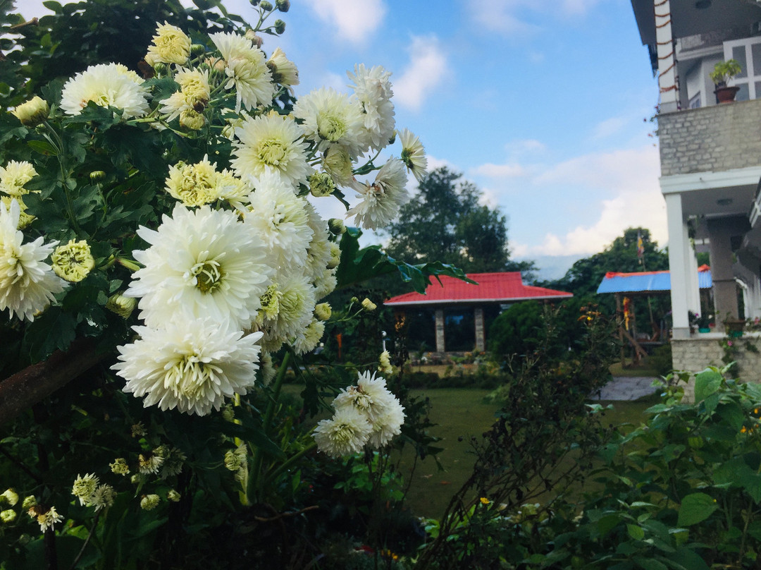 Ejam Residency主图