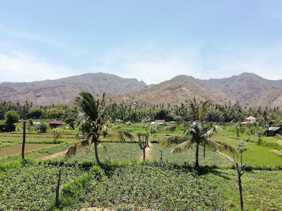 d'Sawah Amed Homestay & Warung主图