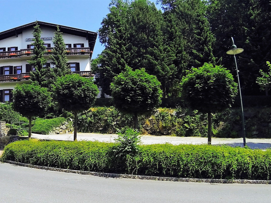 Fruhstuckshotel Waldfriede主图