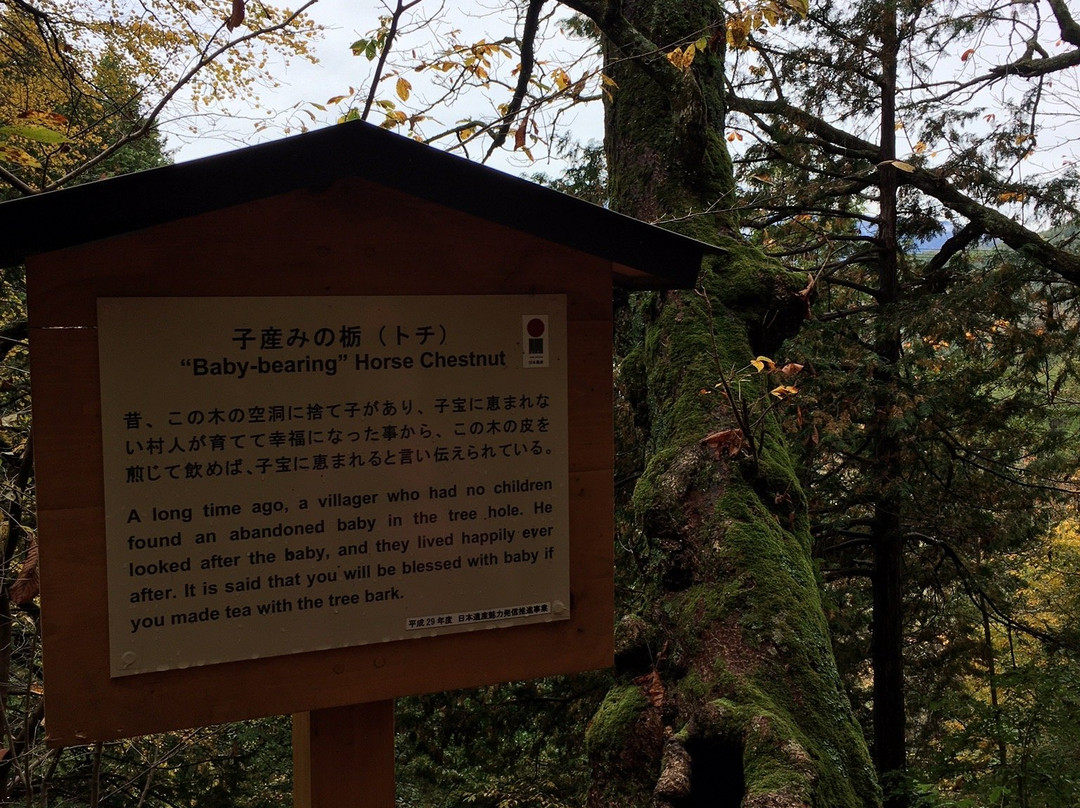 Torii Pass-盐尻市必去景点