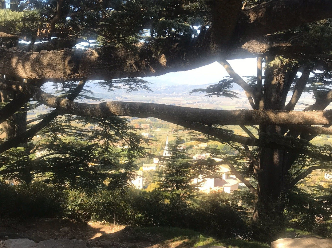 Maison D'Hotes Des jardins主图