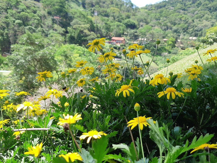 Terracota Hotel主图