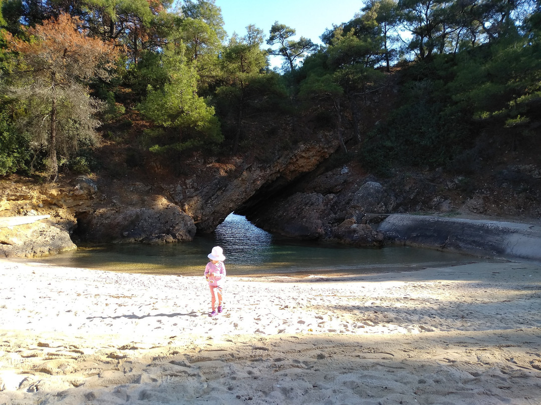 Rodon House Aparthotel主图