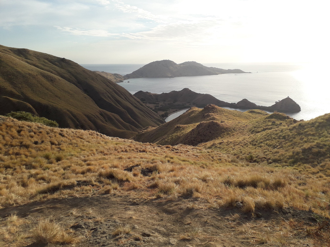 Gili Lawa Darat景点图片