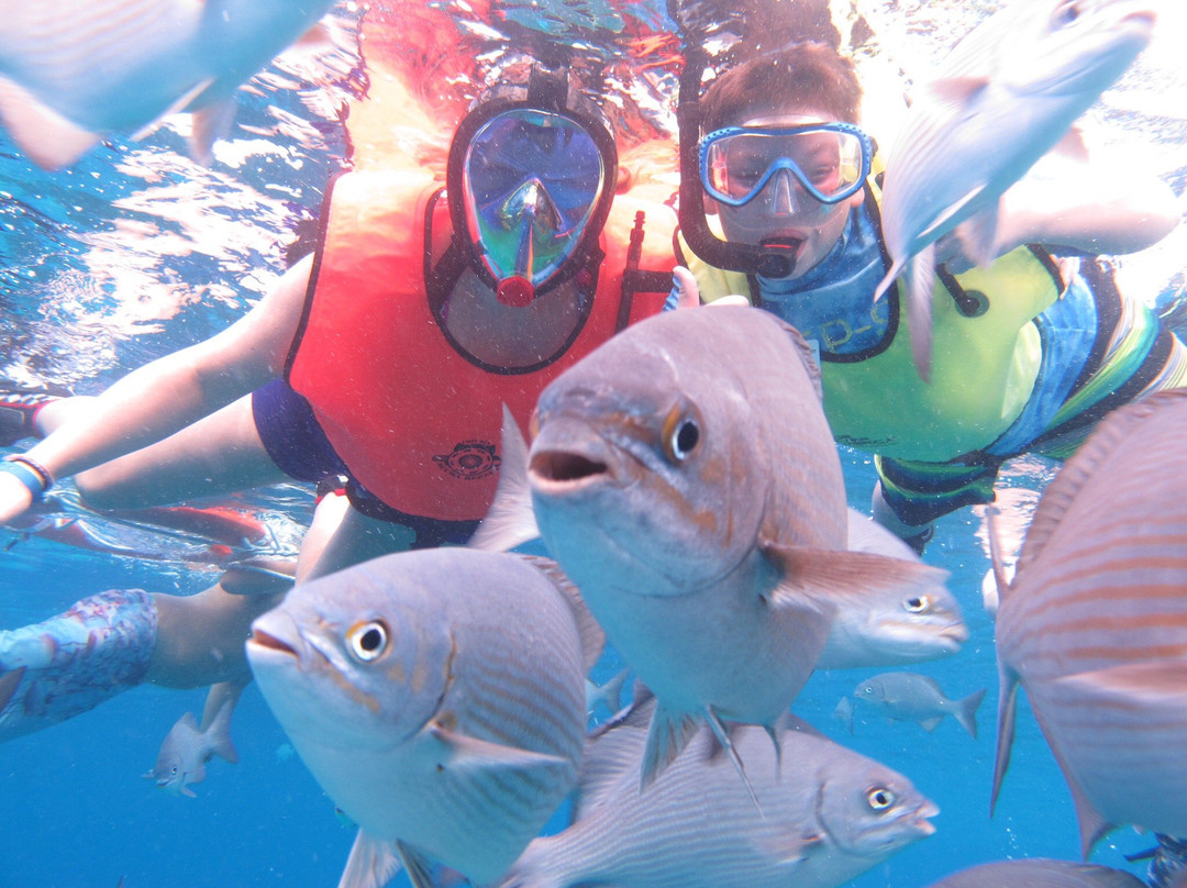 Chac Choc Tours-考祖梅必去景点