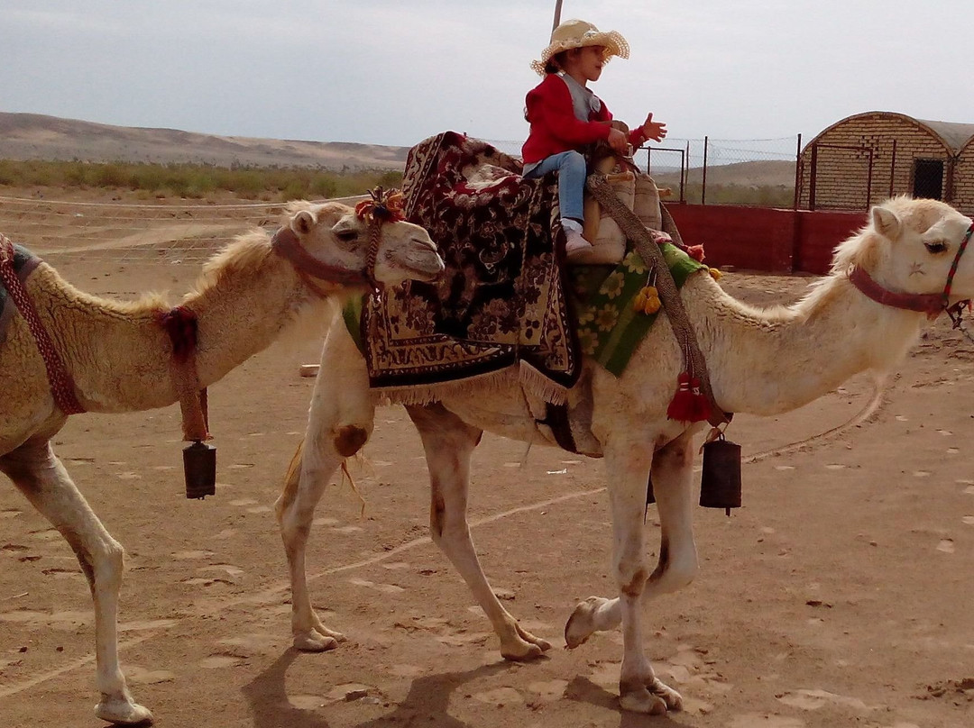 Maranjab Camp-卡尚必去景点