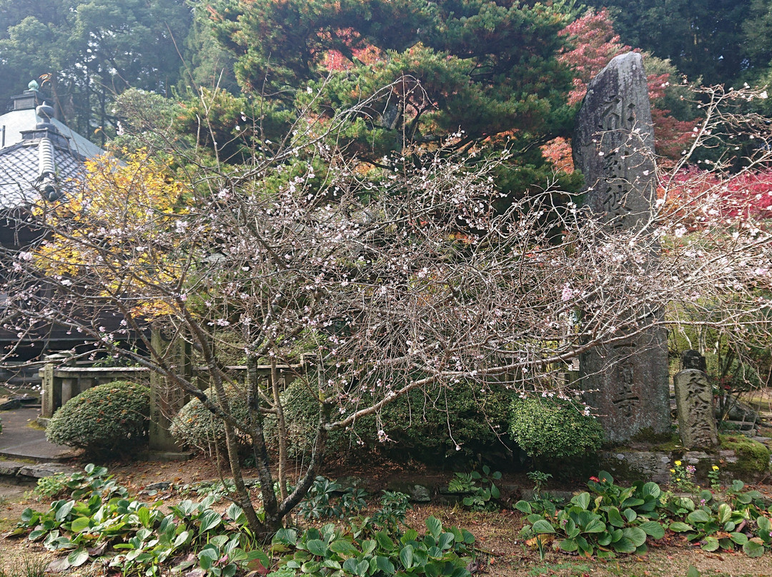 Sankaku Shrine-四国中央市必去景点