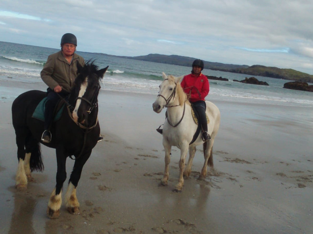 Dunfanaghy Stables-Dunfanaghy必去景点