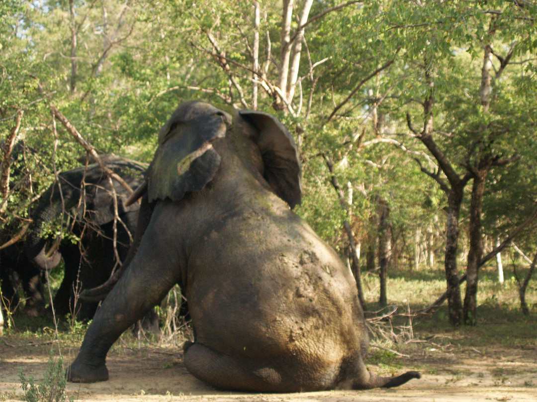 Star Tours Ghana-Cape Coast必去景点