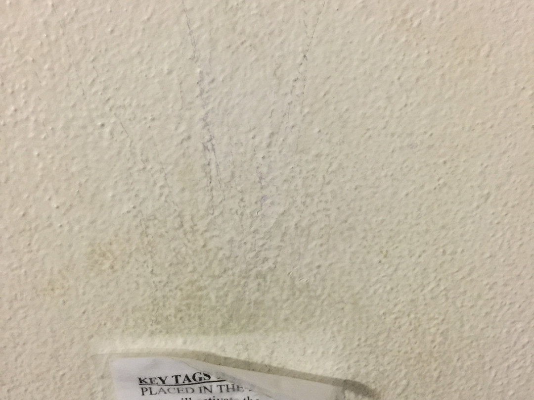 Blue Pelican Motel主图