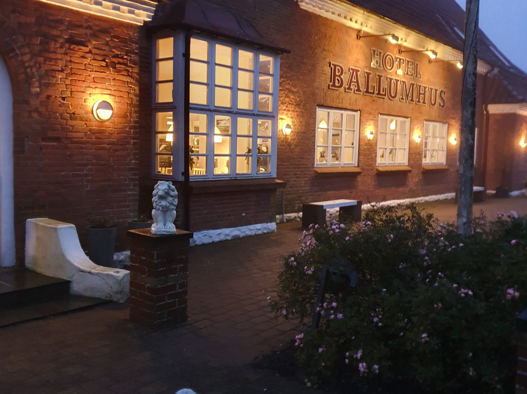 Hotel Ballumhus Kro主图