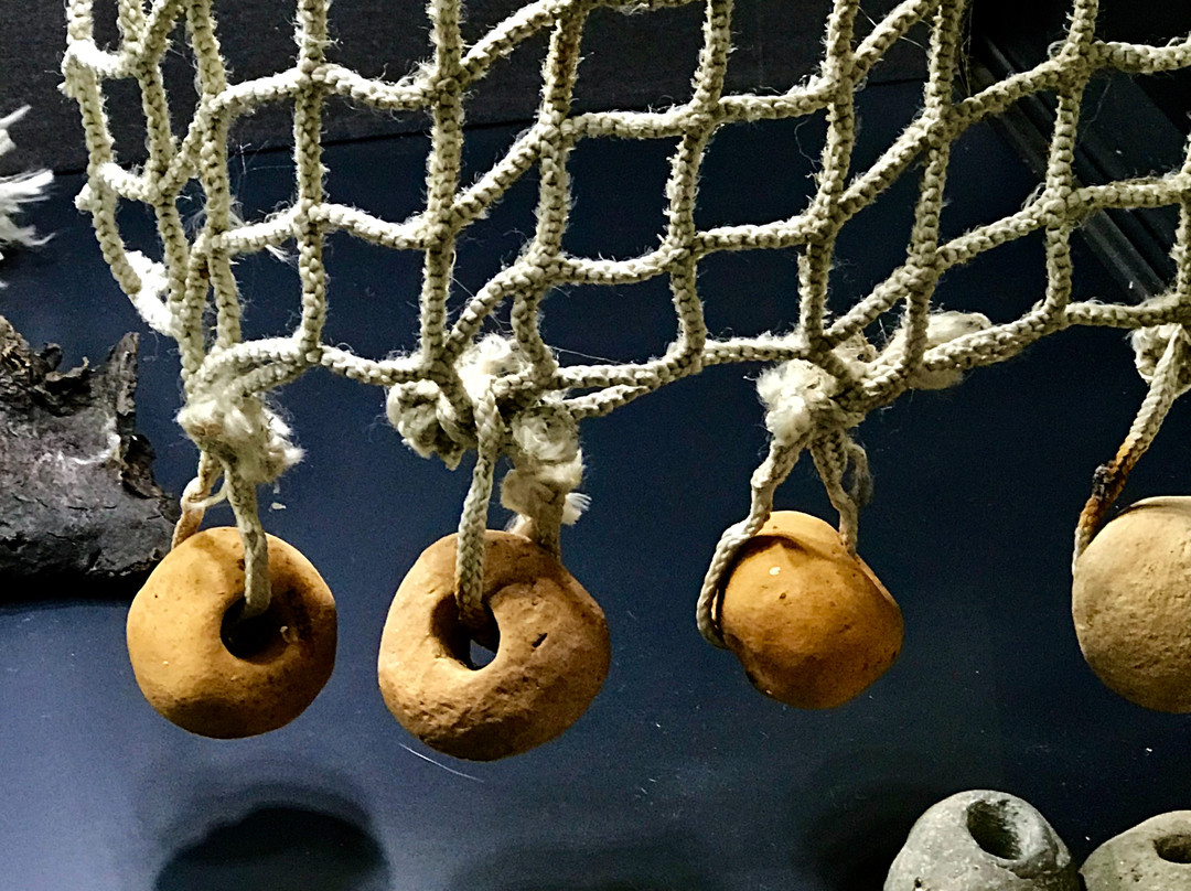Museo E Area Archeologica Di Altino景点图片