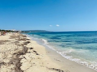 Gecko Beach House主图