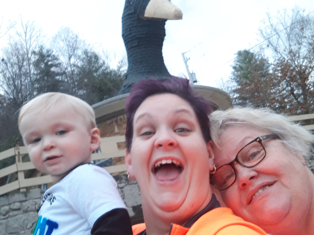 The Mother Goose-Hazard必去景点