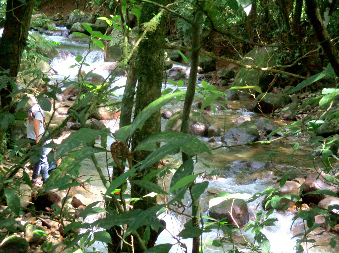 Tokpela-Piedras必去景点