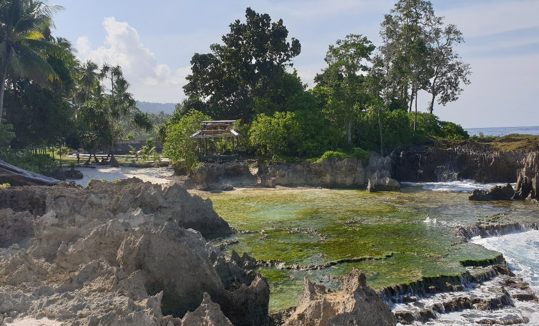 Tanjung Saruri